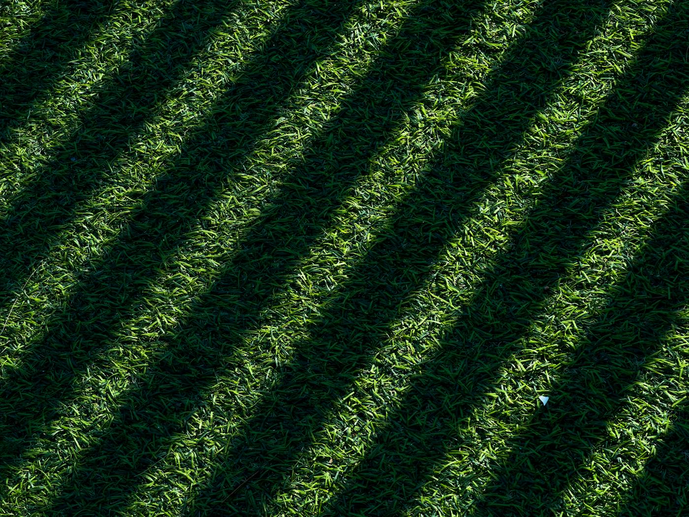 Late-afternoon shadows across a freshly mowed lawn with sharp stripe pattern.