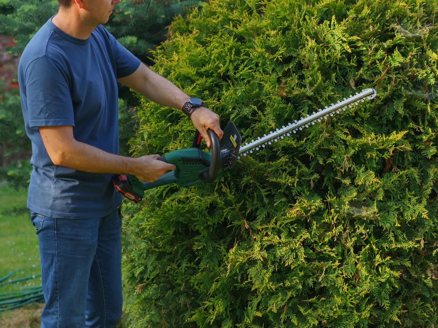 Boxwood hedges shaped into a clean rectangle along a Katy walkway.